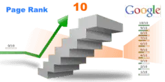 البيج رانك PageRank